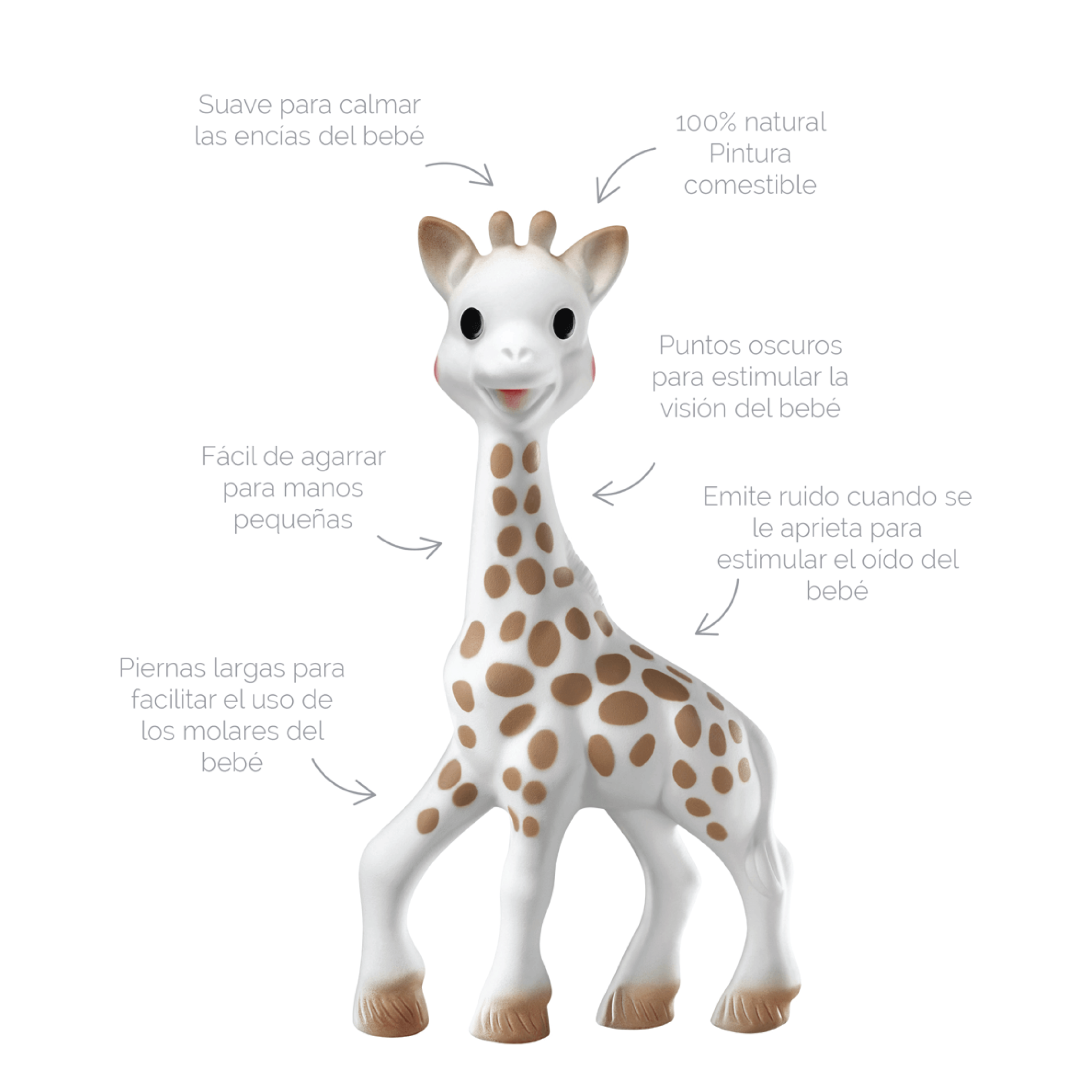 Sophie la girafe – Hola Bebé